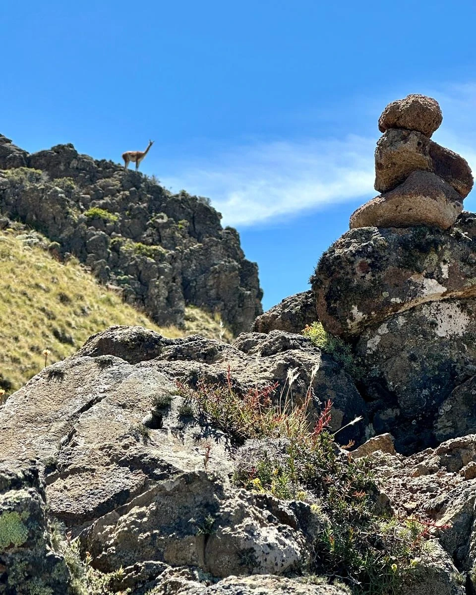 Así se ve el increíble paisaje de la Patagonia. Fotos: IG.