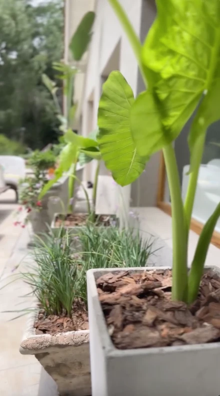 Así es la casa de estilo rústico de Agustina Cherri