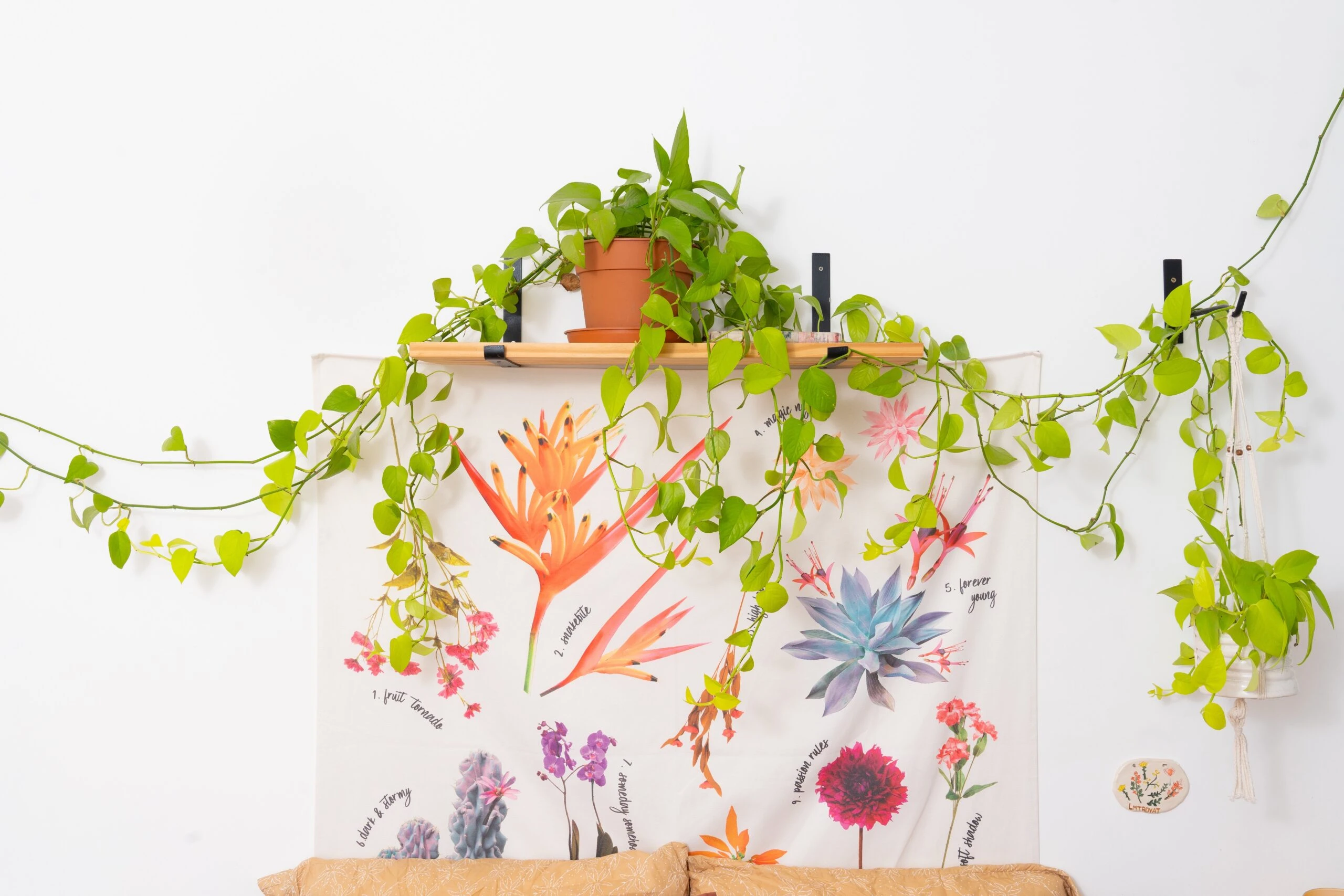 El potus interactúa y potencia la imagen botánica estampada en el tapiz.