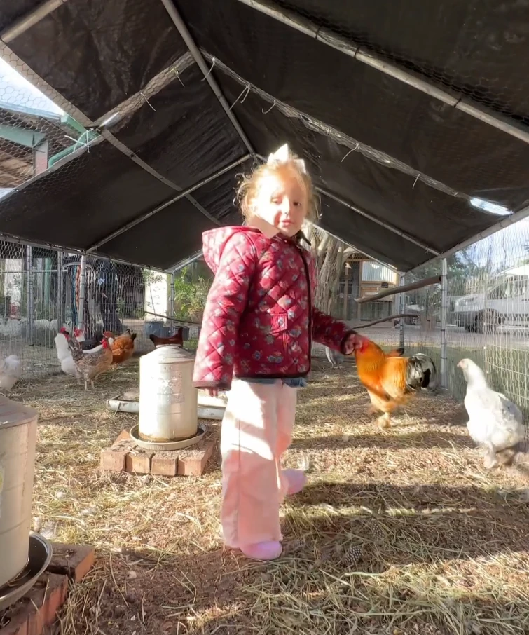 Anita García Moritán