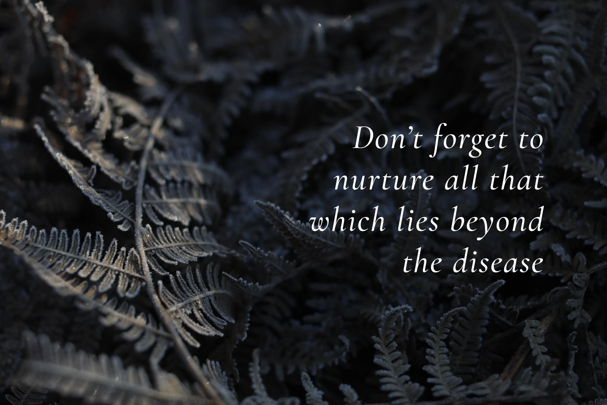 La princesa de Gales llevó esperanza a los pacientes de cáncer y a sus familiares. Fotos: X.