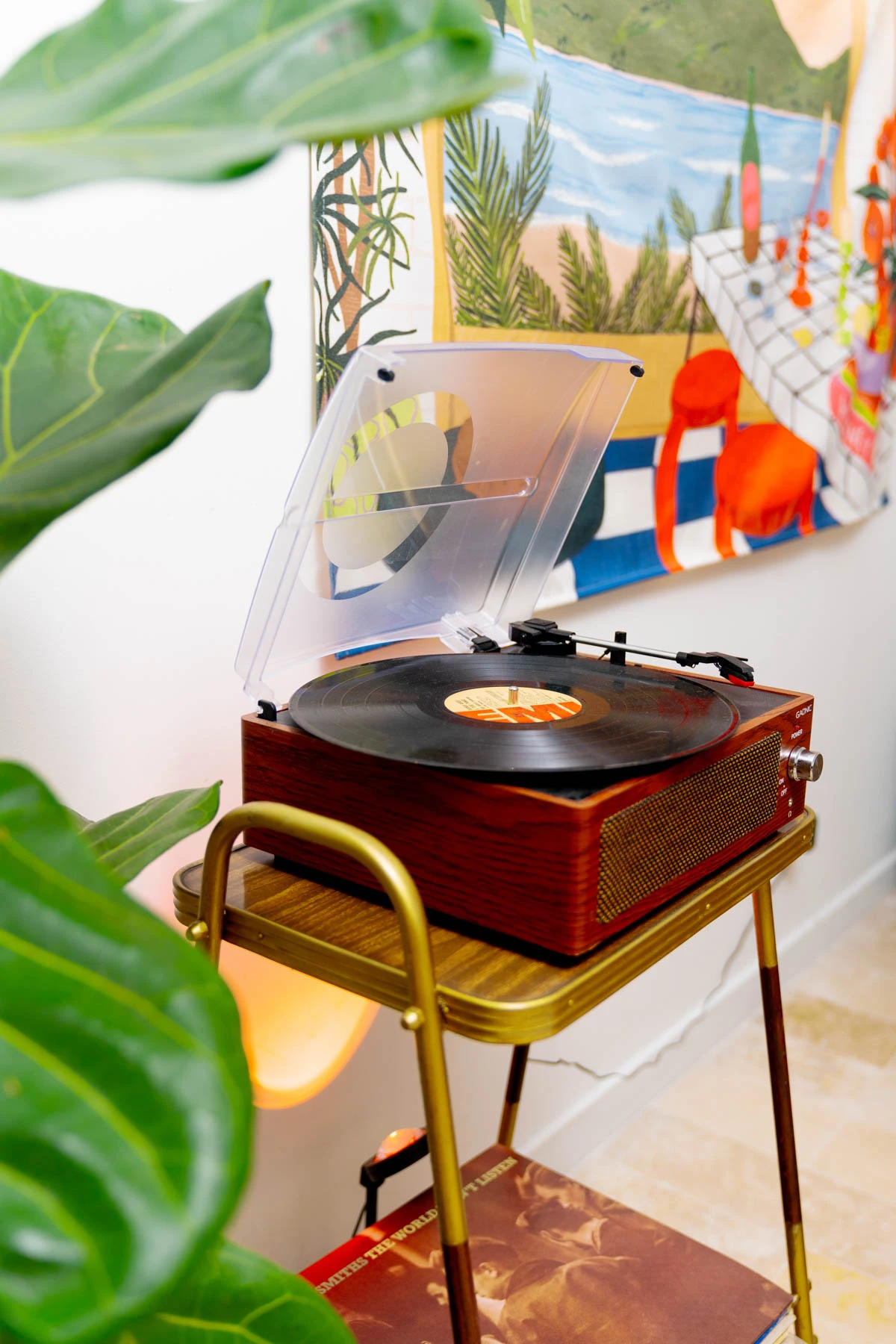 El tocadiscos retro sonando entre plantitas.