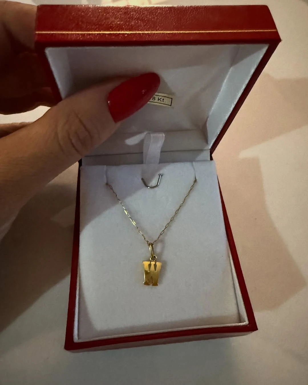 Wanda Nara presumió el regalo de su pareja. Fotos: Ig.