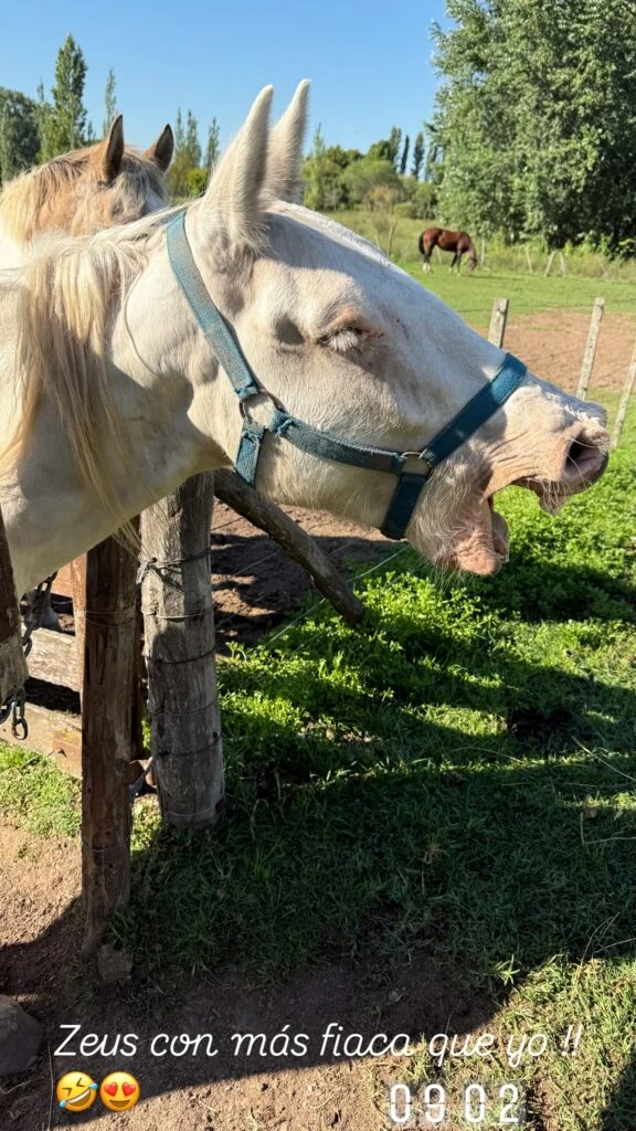 Las fotos de los días de campo de Nicole Neumann y sus hijos. Foto: IG.