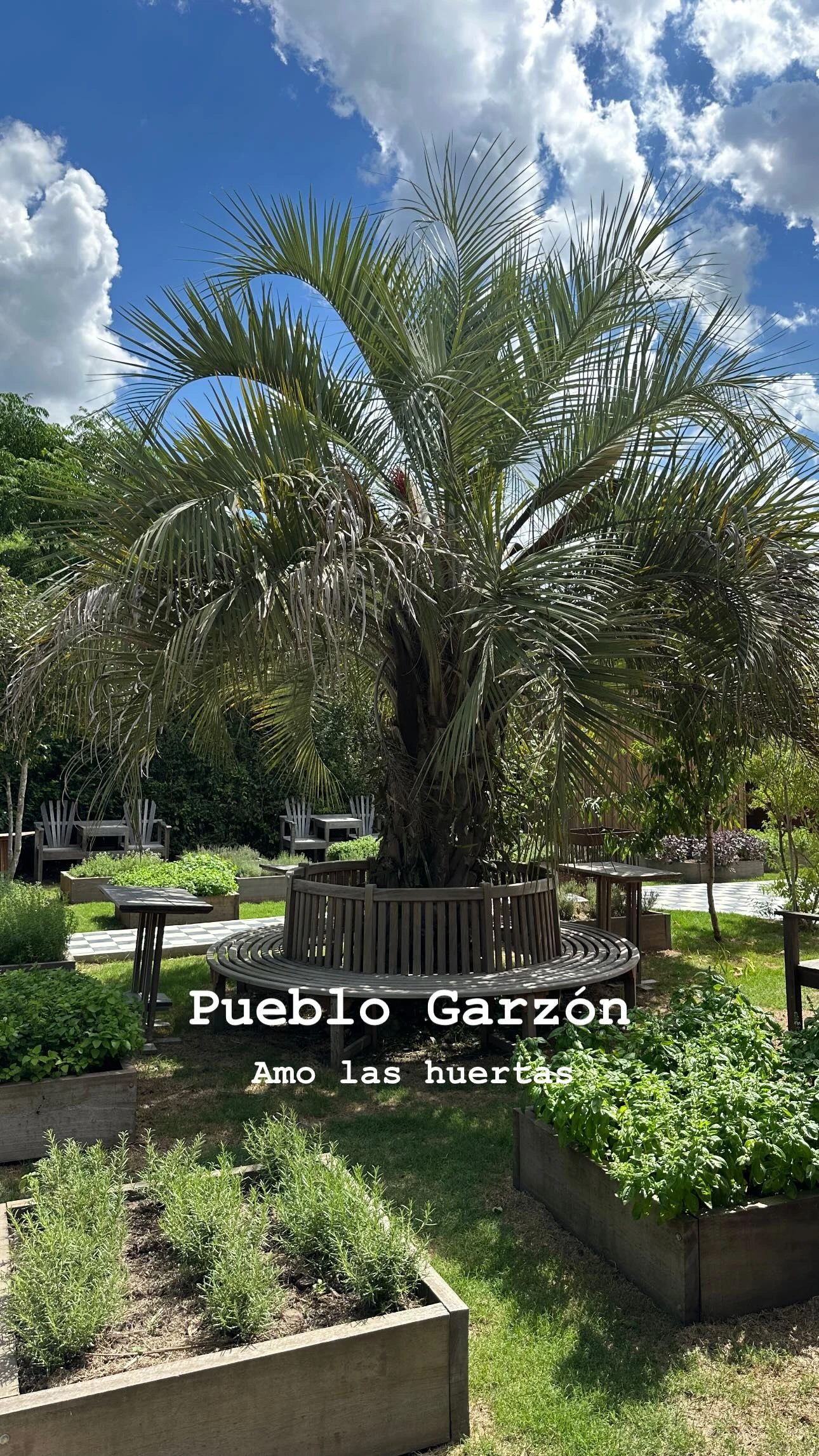 La empresaria fotografió un poco de la flora del lugar. Fotos: IG.