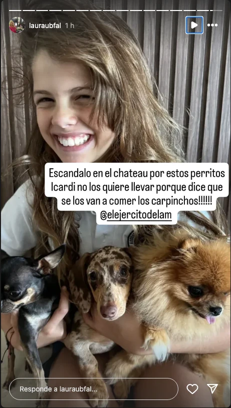 El posteo de Laura Ubfal hablando del escándalo por las mascotas de las nenas