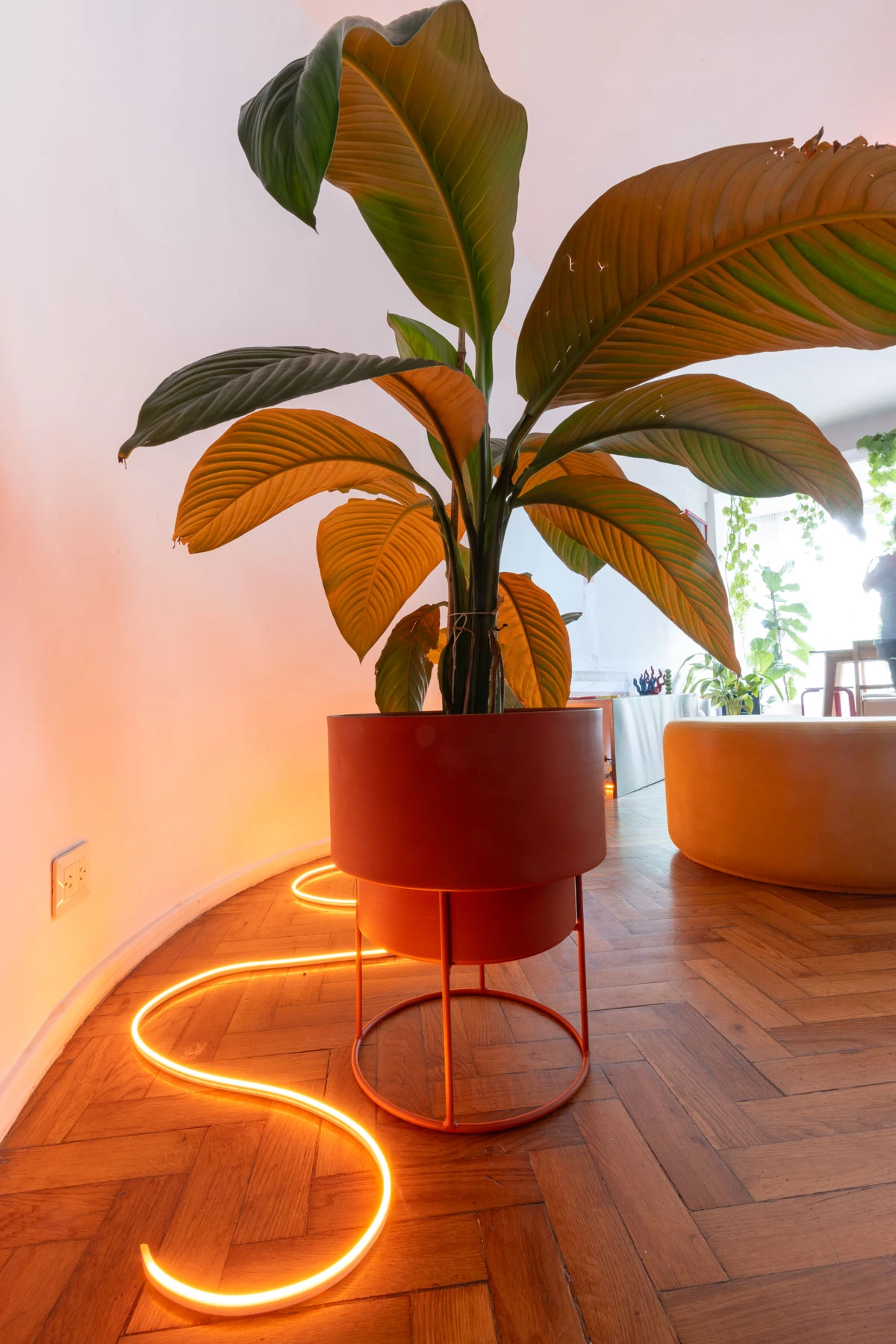 La tira led con iluminación naranja, clave del look iluminado del depto. 