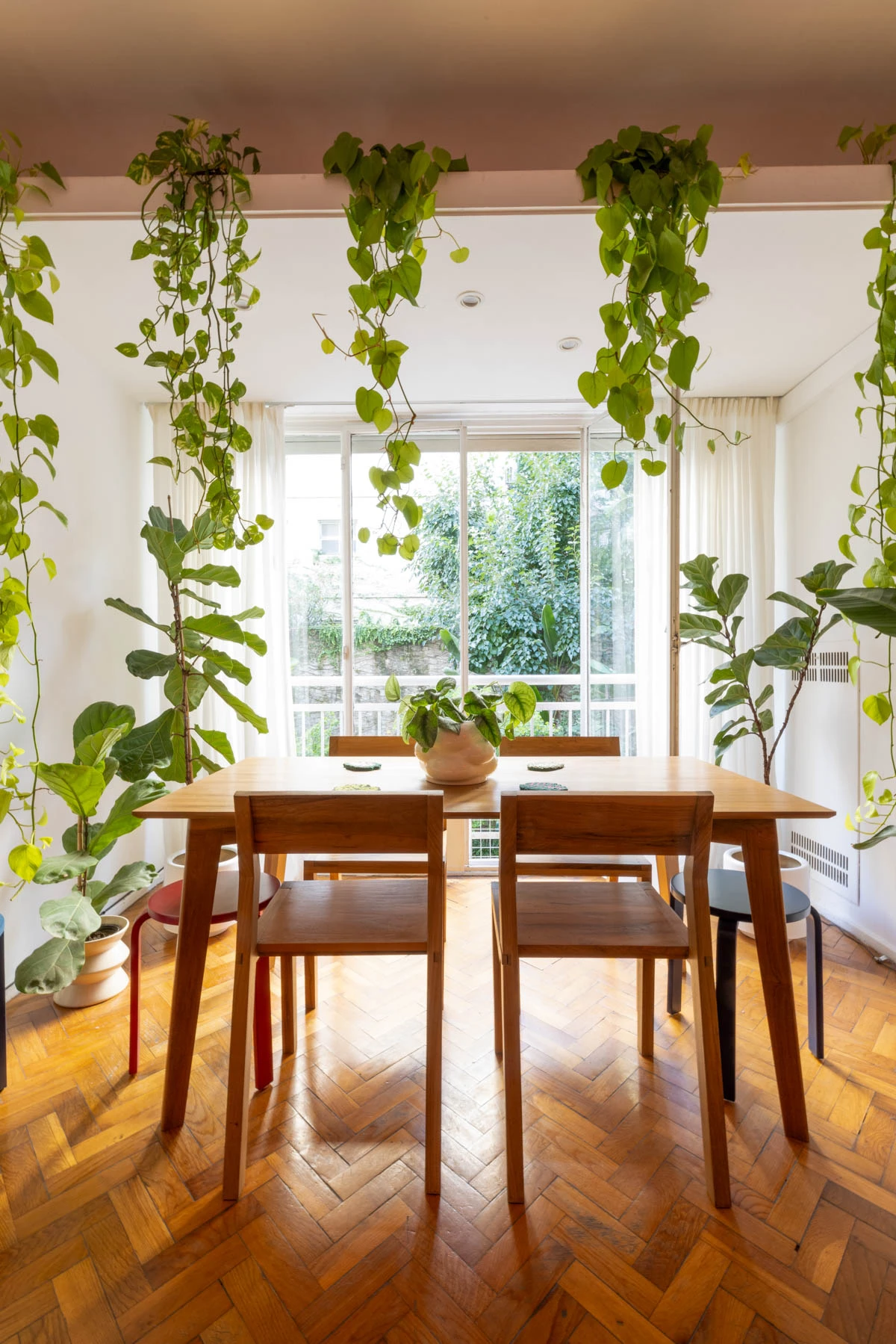 Las plantas de interior, ingeniosamente fusionadas con el verde natural del exterior. 