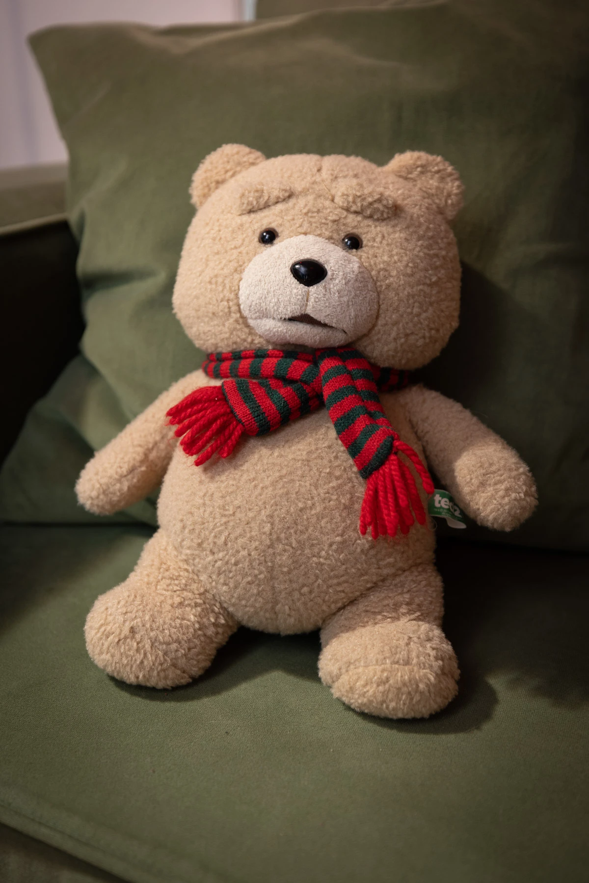 El oso Ted. fetiche y mascota de peluche del depto de Nacho de Casa Libra. 