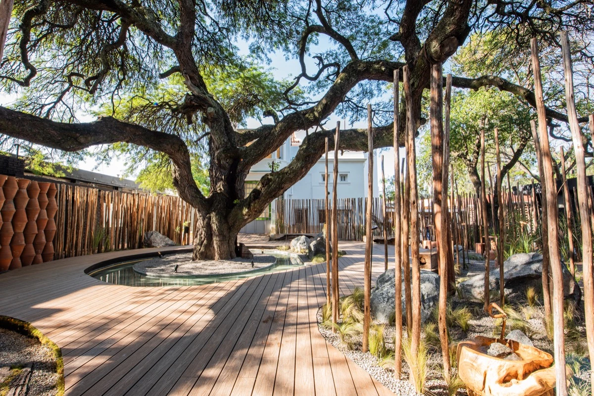 Paisajismo alrededor del icónico algarrobo de la ex Academia Argüello.