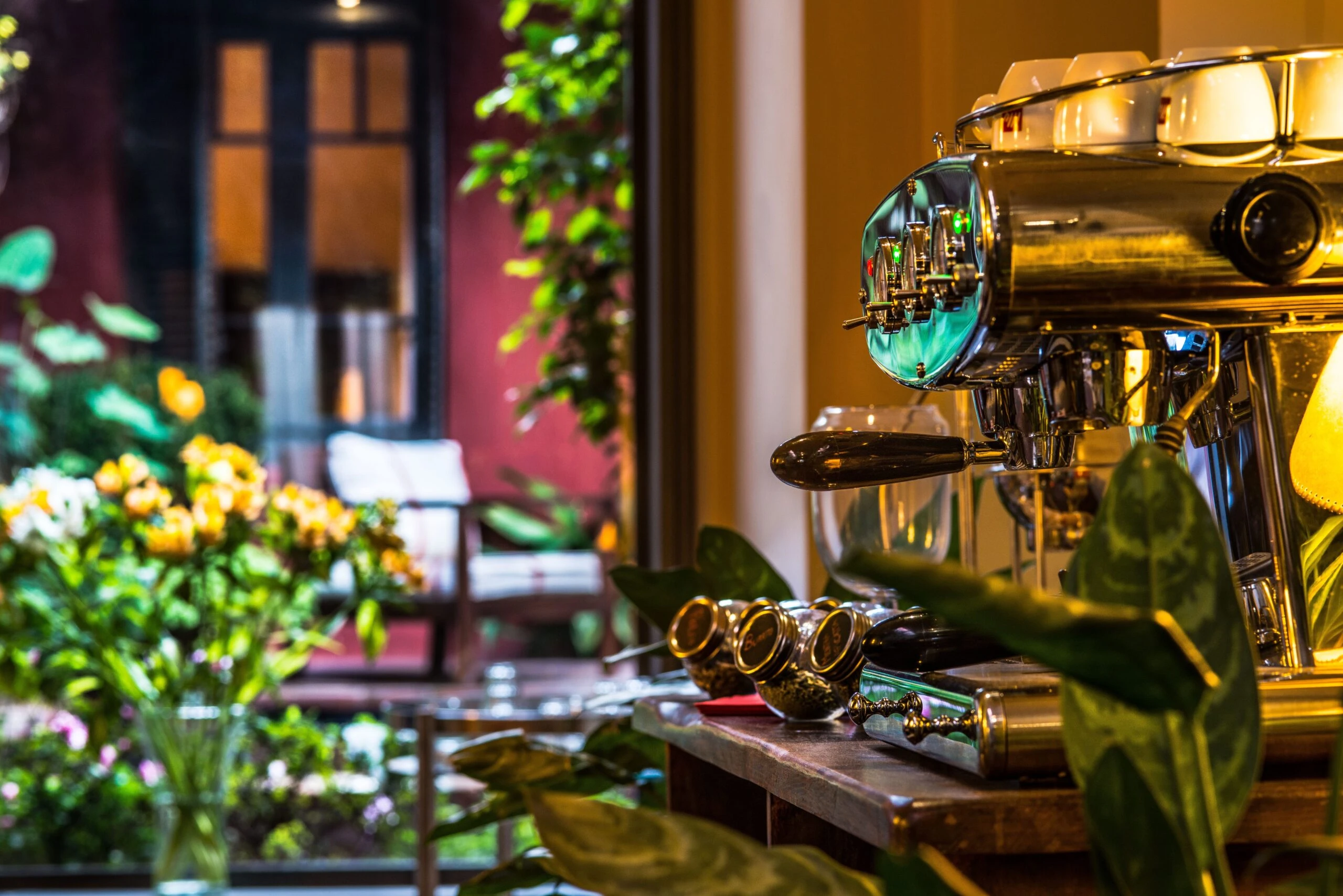 Jardin Escondido de The Family Coppola Hideaways. 