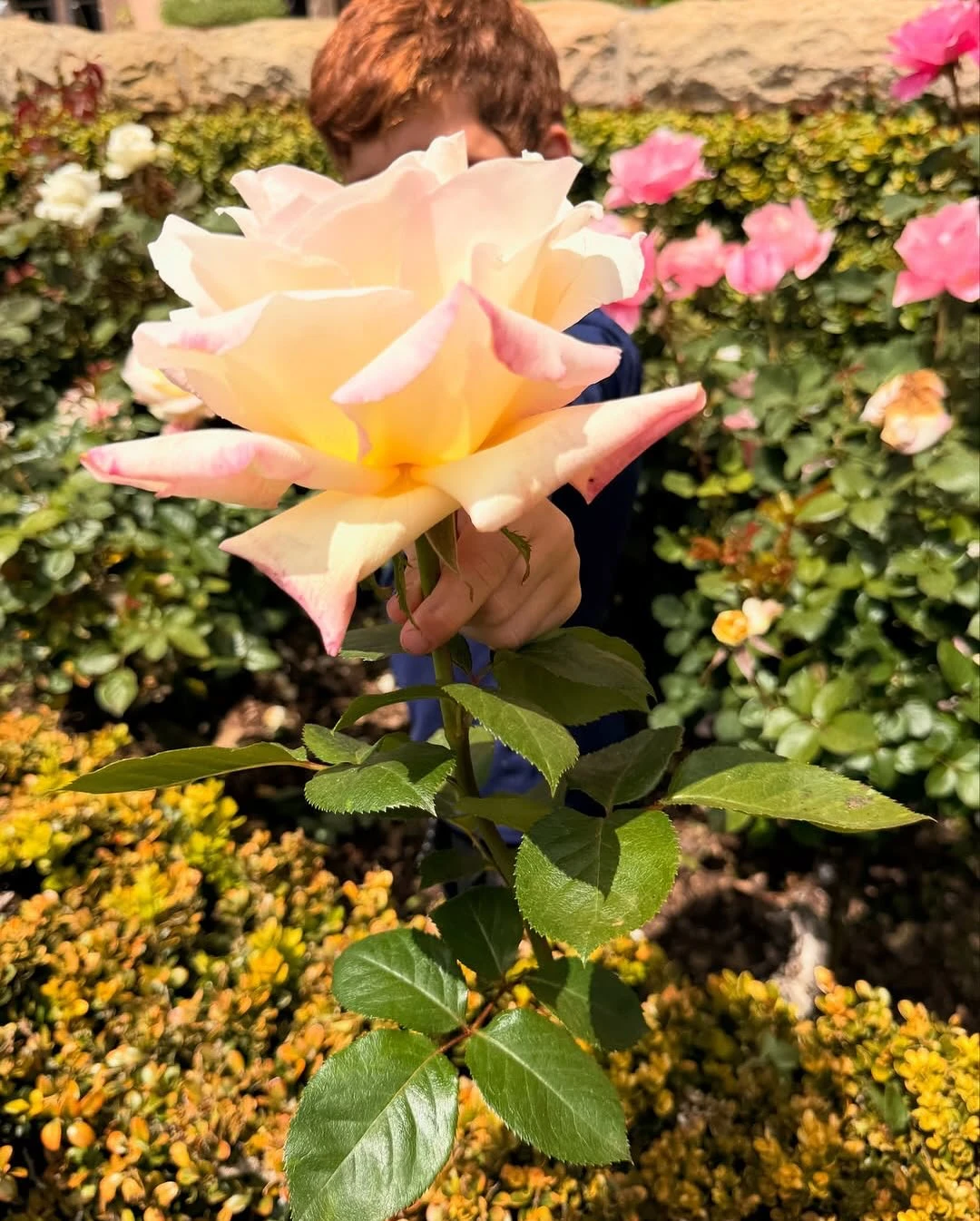 Fotos inéditas el domingo en familia de Meghan Markle junto a sus hijos, Archie y Lilibet Diana 