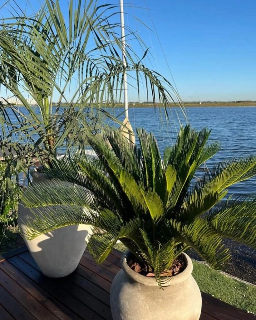 Las fotos del fin de semana de Pampita