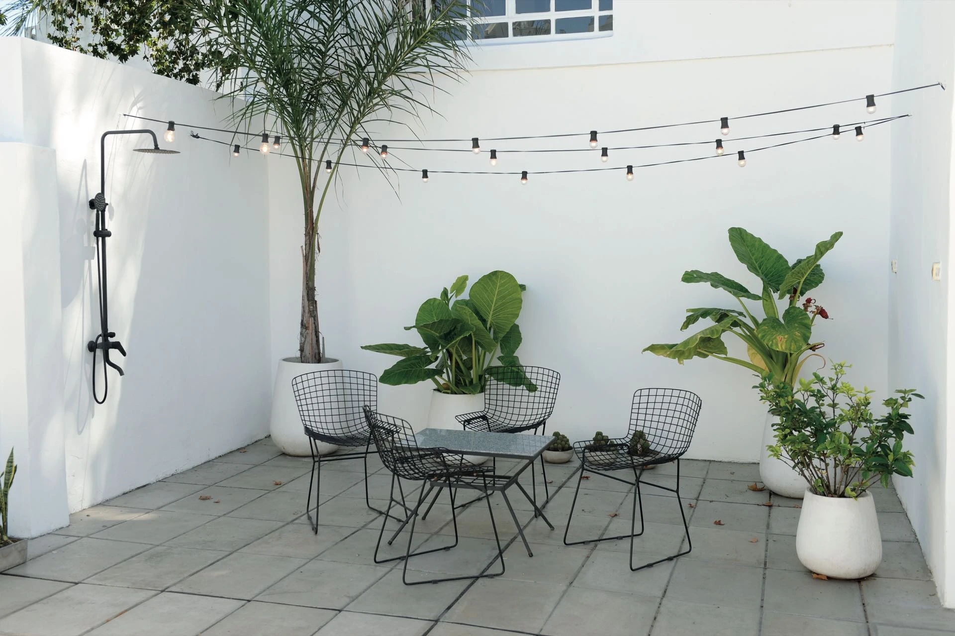 
El patio proporciona luz natural y verde a toda la vivienda reciclada. 