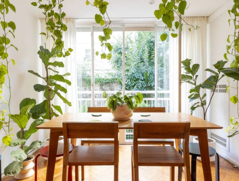 Urban jungle: el estilo que sigue marcando tendencia en 2025