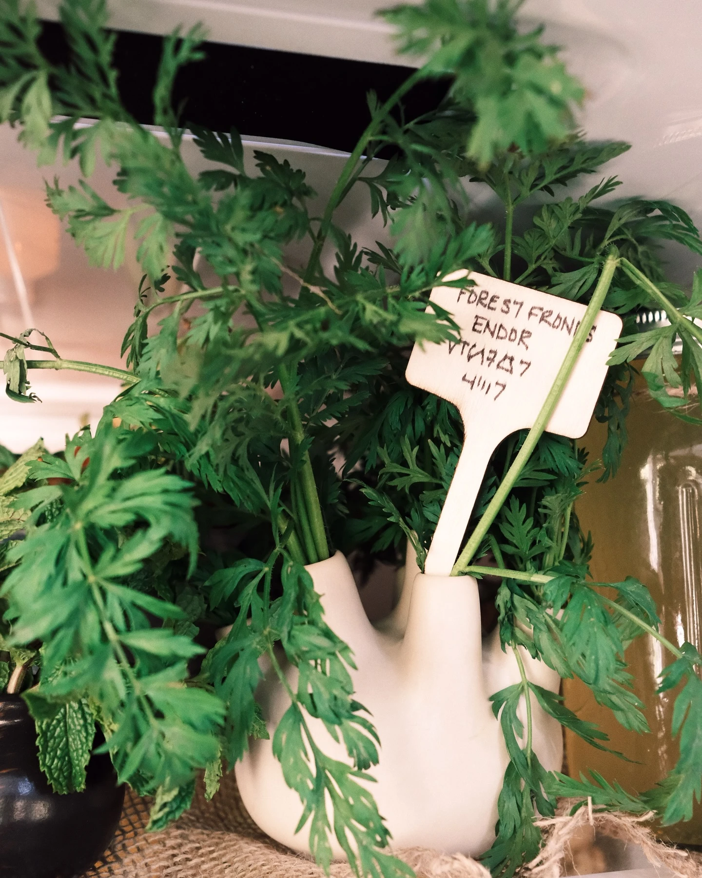 "Sumá verde y frescura": uno de los tips del fridgescaping.