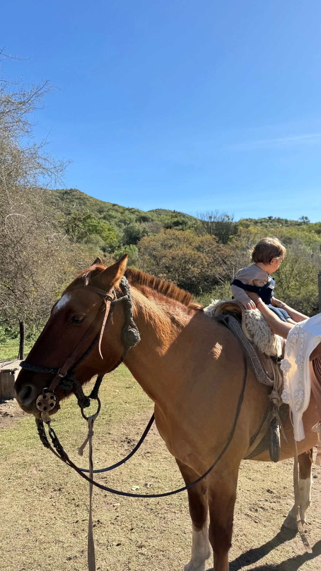 El pequeño Cruz también participó de la actividad familiar. Fotos: IG.