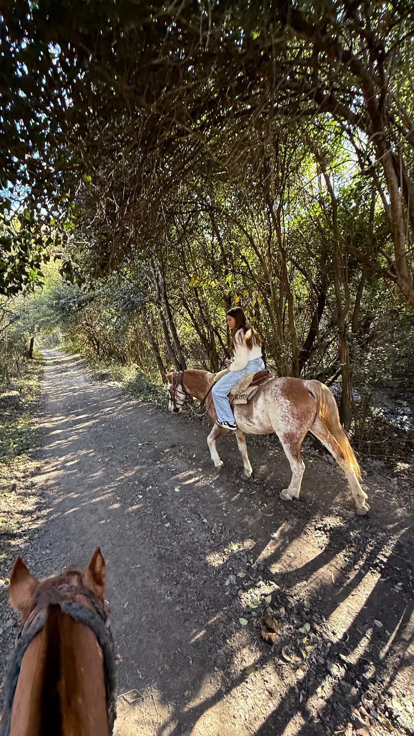 Las niñas disfrutaron de una tarde de cabalgata. Fotos: IG.