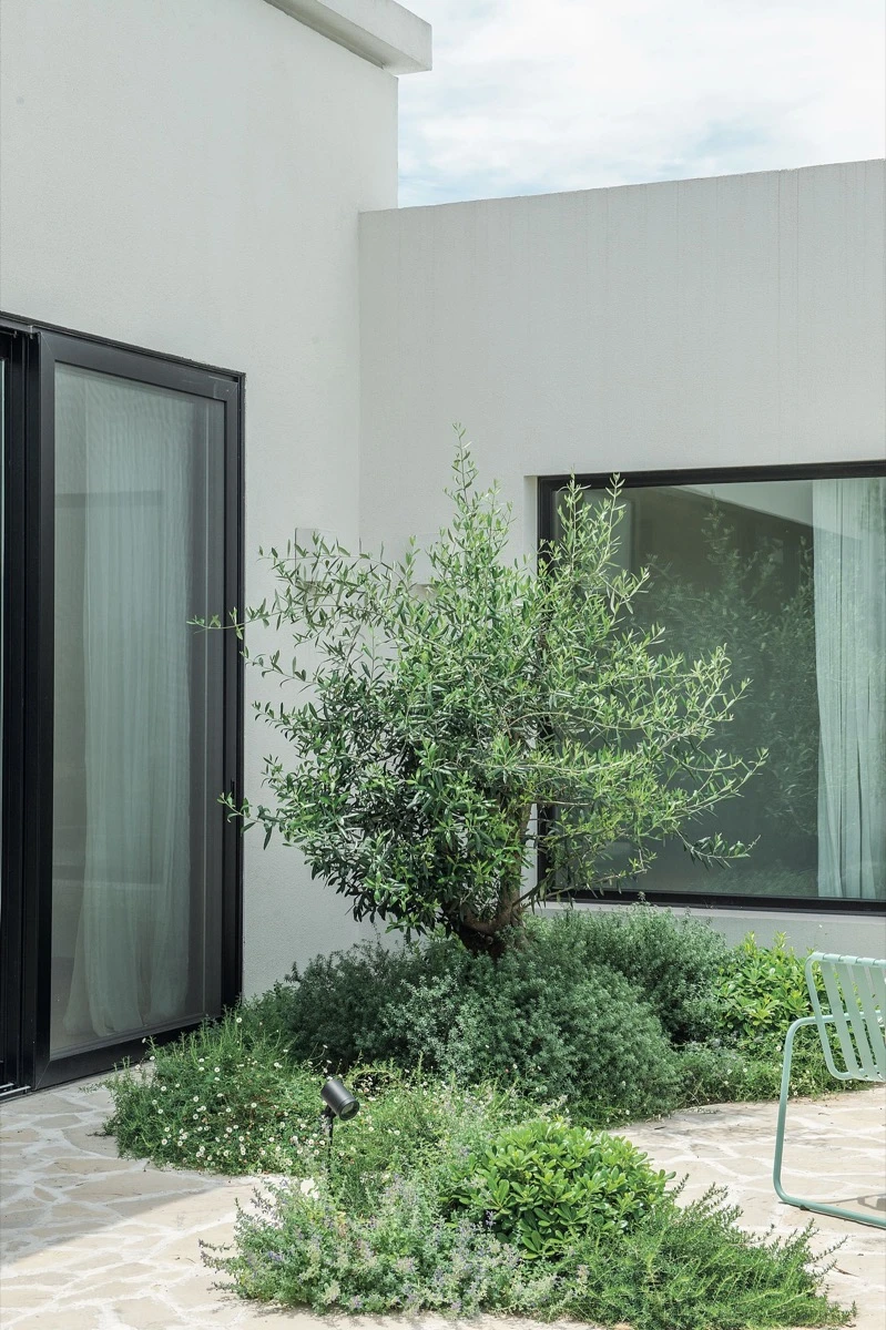 El verde natural del exterior propone una vista única desde el interior. 