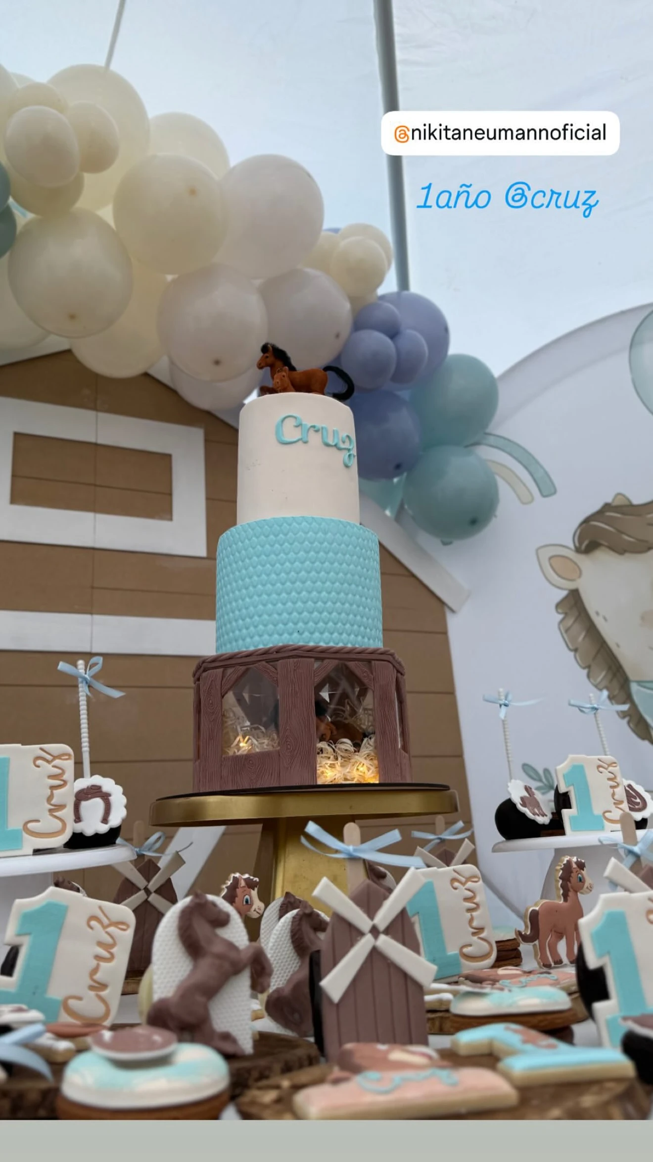 Así fue la fiesta temática de Cruz Urcera, el bebé de Nicole Neumann, por su primer cumpleaños