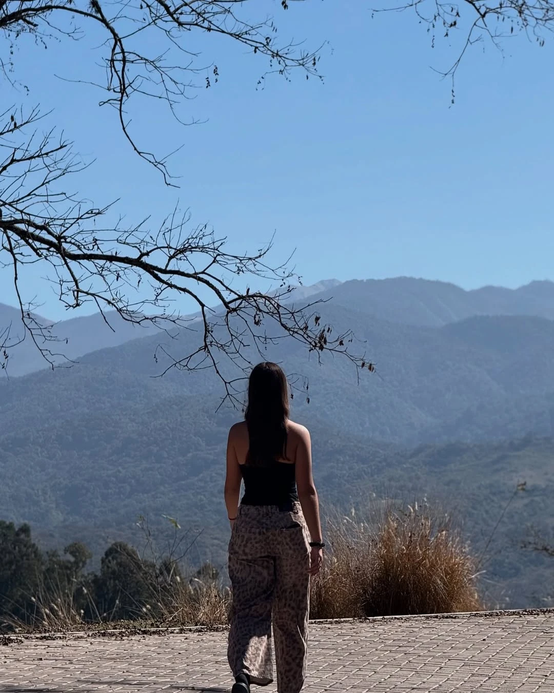 Indiana Cubero y sus primeras vacaciones sola: de Salta a Mar del Plata sin escalas
