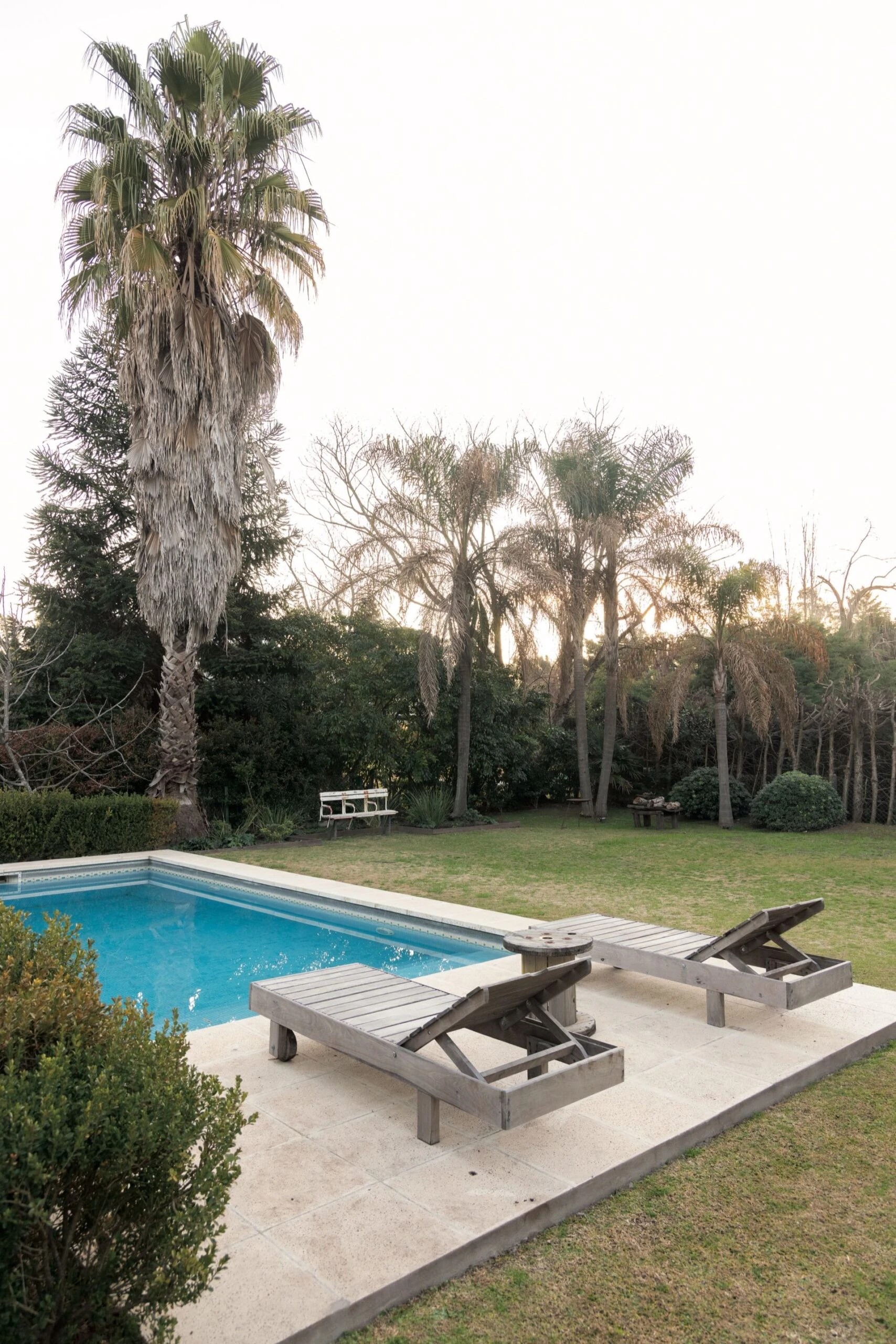 La piscina, alrededor del generoso parque de la casa.