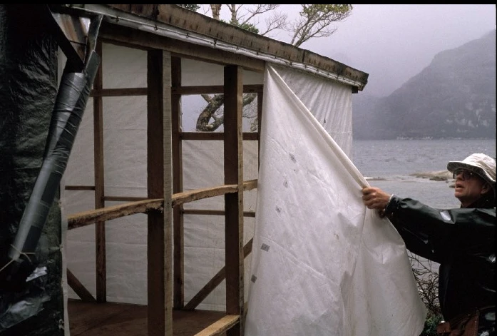 El funcionario del parque nacional me pidió que dejara la cabaña donde estaba, pero decidí derribarla. Sabía que el sol y el viento pudrirían, desparramarían la lona y dejarían un desastre. También quería aligerar mi huella lo máximo posible y devolverle a la isla su esencia: al mar, al cielo y a las criaturas que la habitan. Había venido como invitada y había intentado ser una buena vecina. No quería aumentar la hegemonía humana dejando atrás un puesto de avanzada. Tampoco quería facilitarle las cosas a alguien que quisiera experimentar la maravilla natural que yo había experimentado. 