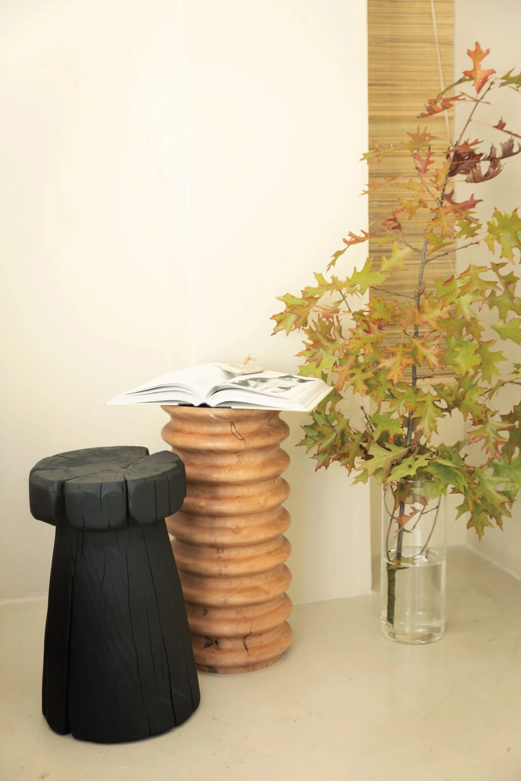 Bancos de madera funcionan como piezas escultóricas decorativas.