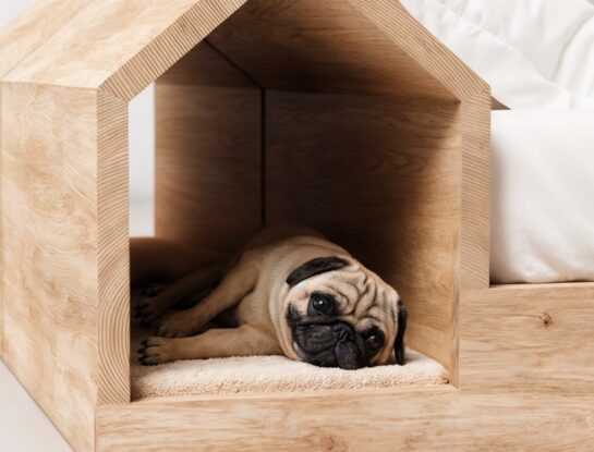 La cama de diseño perfecta para dormir junto a tu perro existe: Dog Hut Bed  