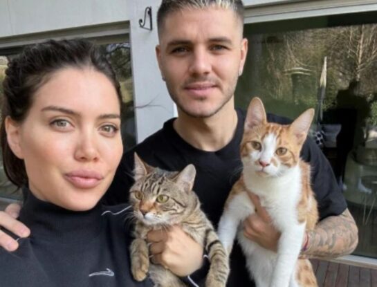 Qué pasó con las mascotas de las hijas de Wanda Nara en Turquía: denuncia que fueron abandonadas