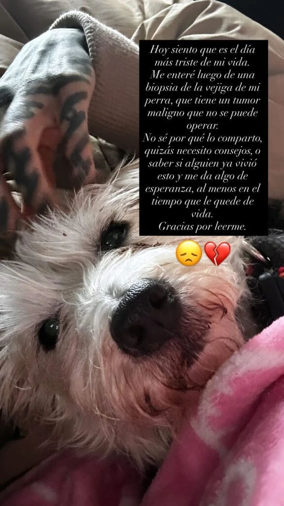 Cande Tinelli y el día más triste de su vida: "Me da algo de esperanza…"

