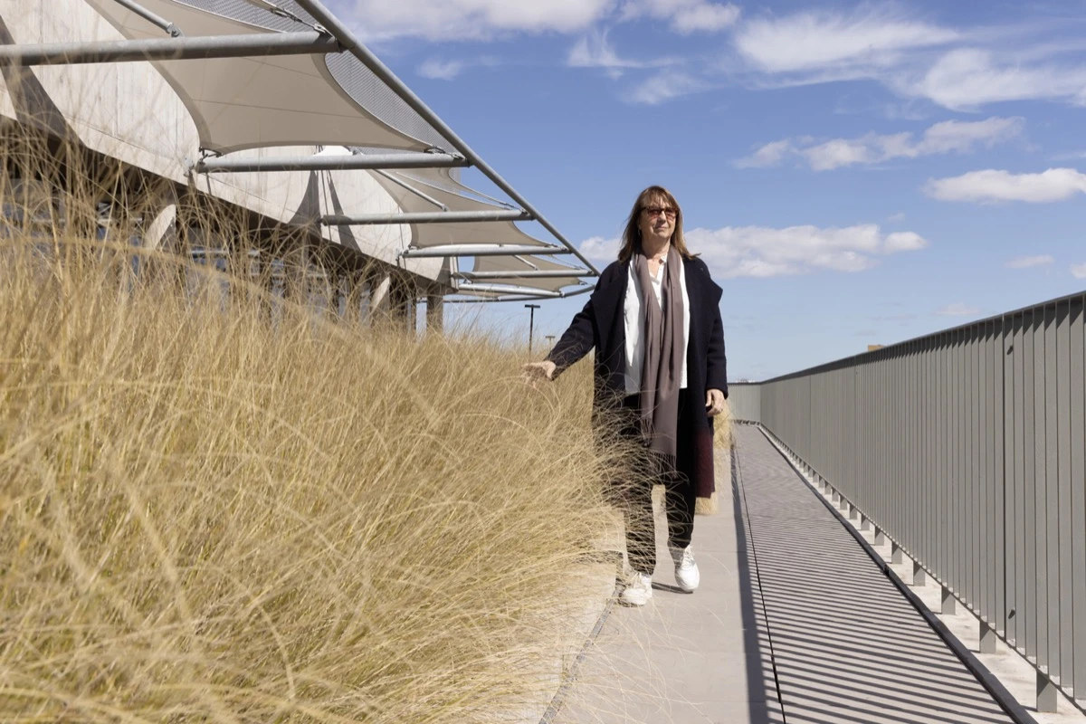 La cubierta verde funciona como un anillo paisajístico recorrible, 