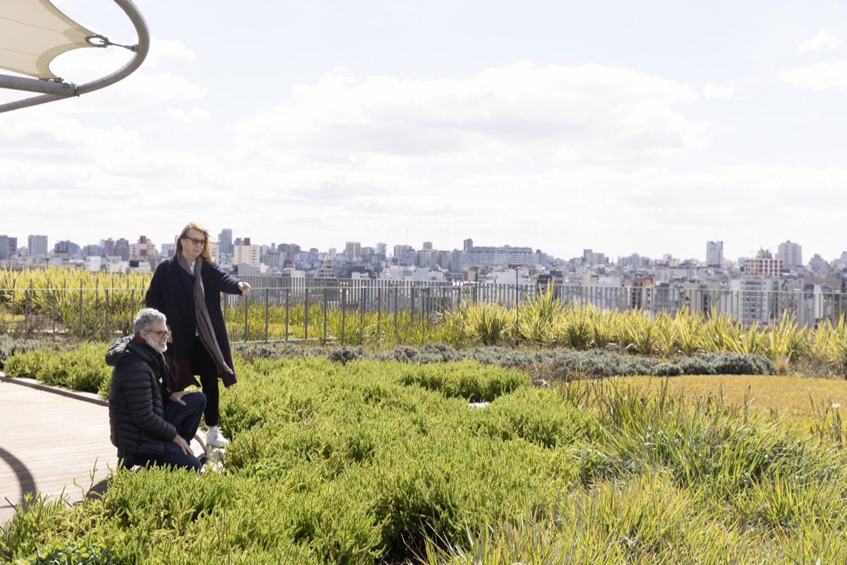Premiaron el paisajismo de un edificio símbolo de una nueva era del lifestyle laboral