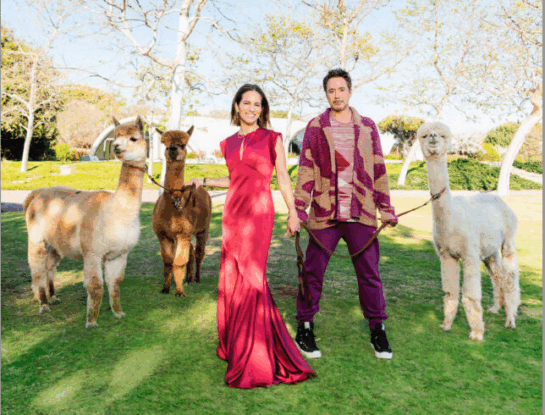 Robert Downey Jr. se convierte en héroe de la arquitectura sustentable desde su increíble “casa Binishell” en Malibú