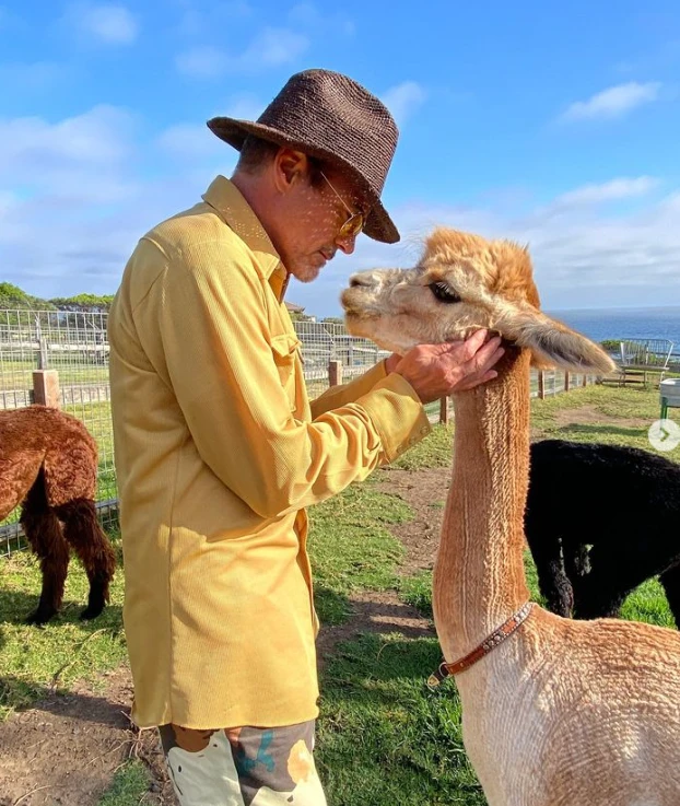 El actor también creó una granja alrededor de sus casa, con alpacas, cabras, cerdos y gallinas. 