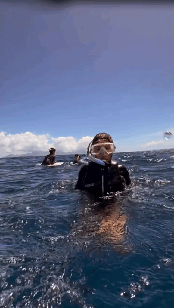 Pampita buceó junto a ballenas y cumplió un sueño gracias a Martín Pepa