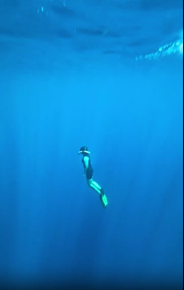 Pampita buceó junto a ballenas y cumplió un sueño gracias a Martín Pepa