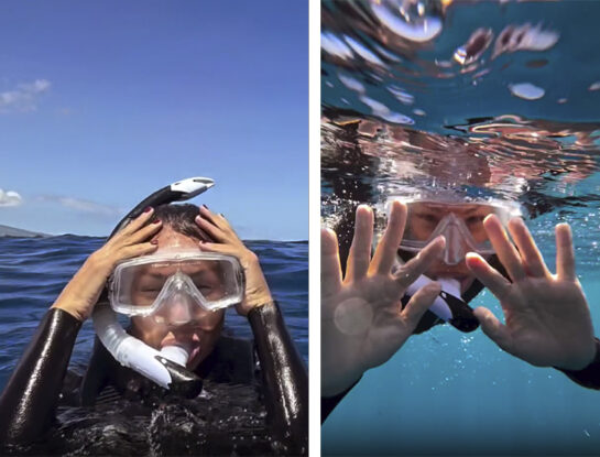 El impactante video de Pampita buceando con ballenas en la Polinesia: "Gracias Martín Pepa por cumplirme este sueño"