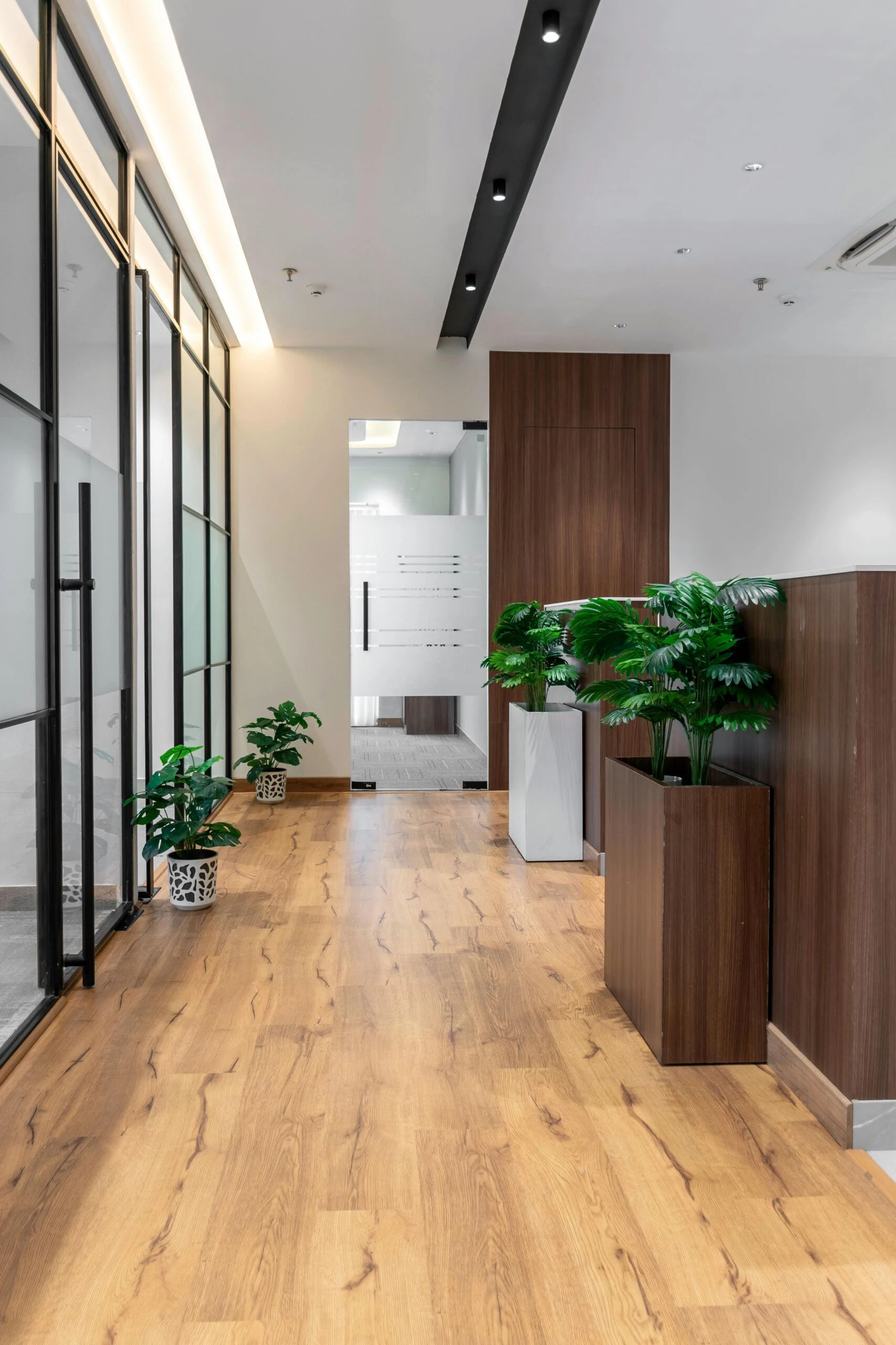 Las plantas son perfectas para transformar un pasillo en spot deco lleno de estilo y frescura. 