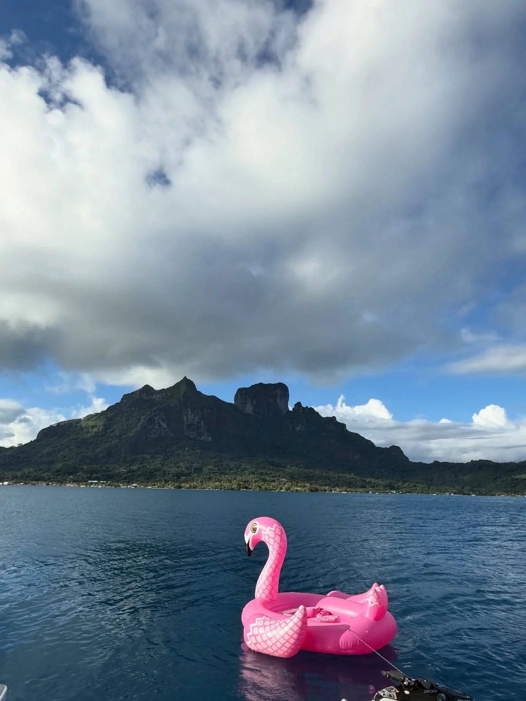 Pampita en la Polinesia