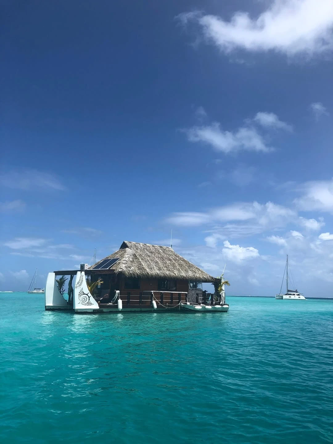 Pampita en la Polinesia