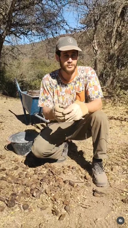 Jerónimo Momo Weich