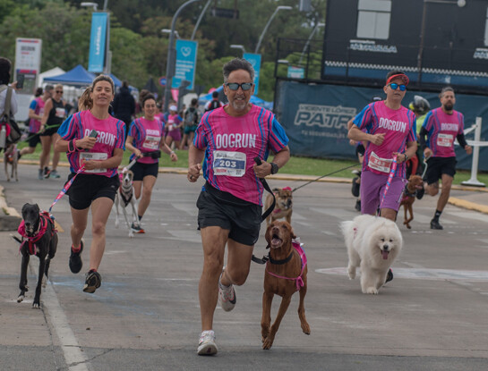Domingo de perros en Vicente López: así se vivió la fiesta pet friendly con más de 650 mascotas y sus familias