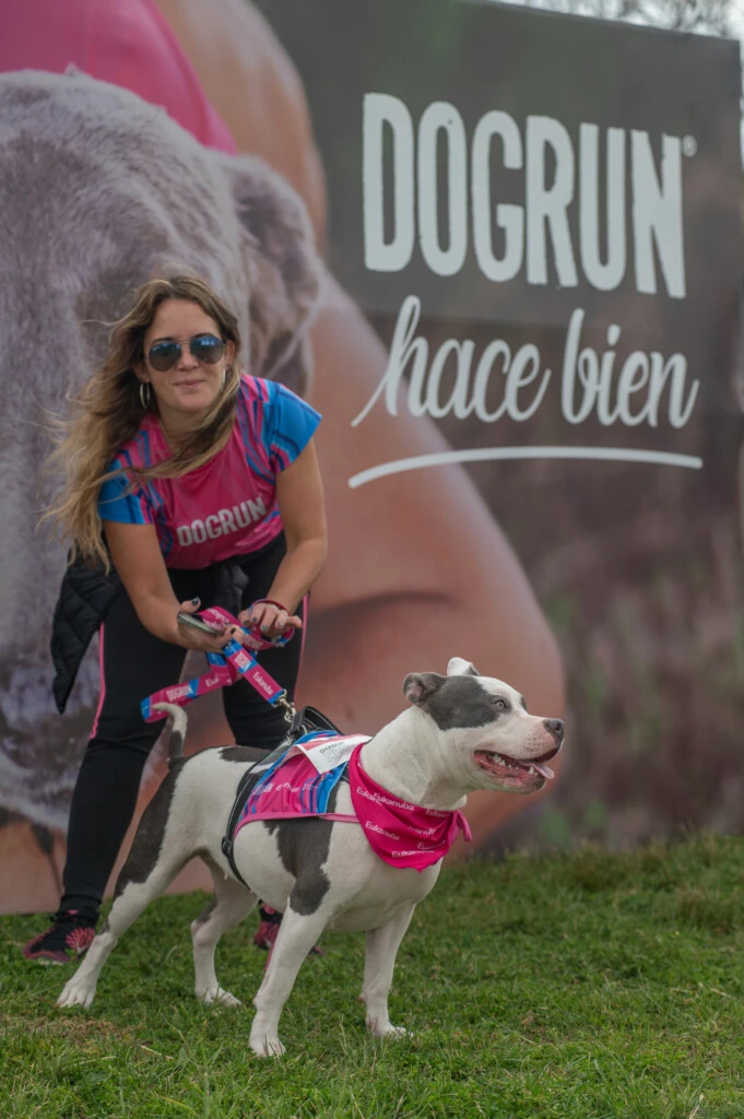 DogRun