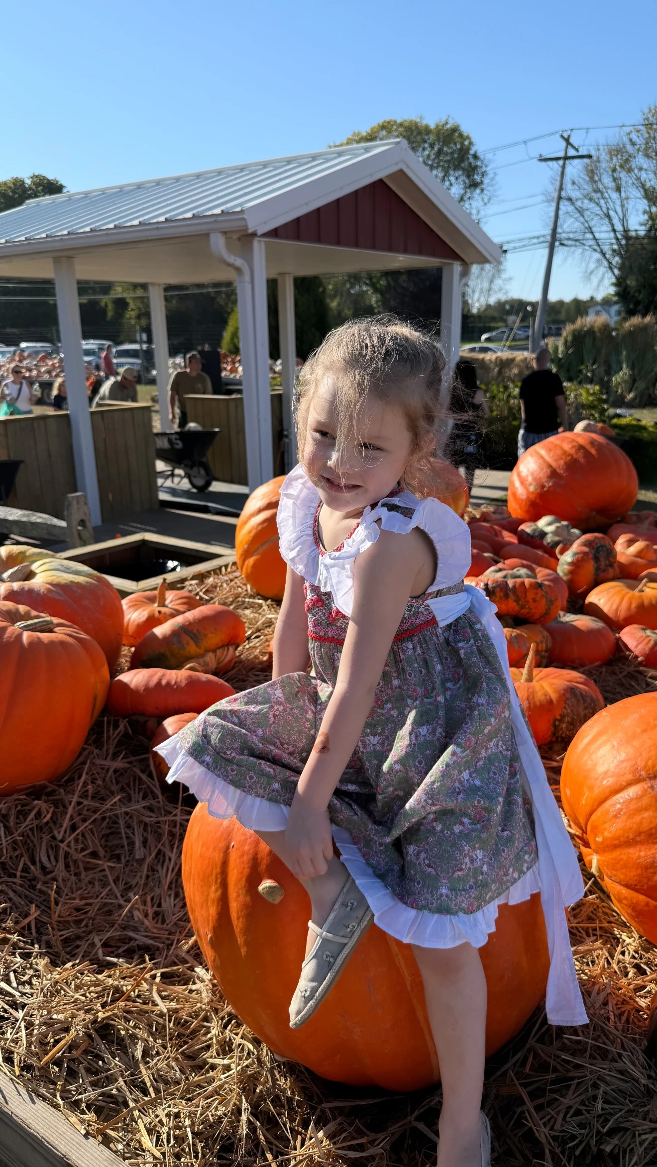 Anita posó en la granja junto a las cabalazas. Fotos: IG.
