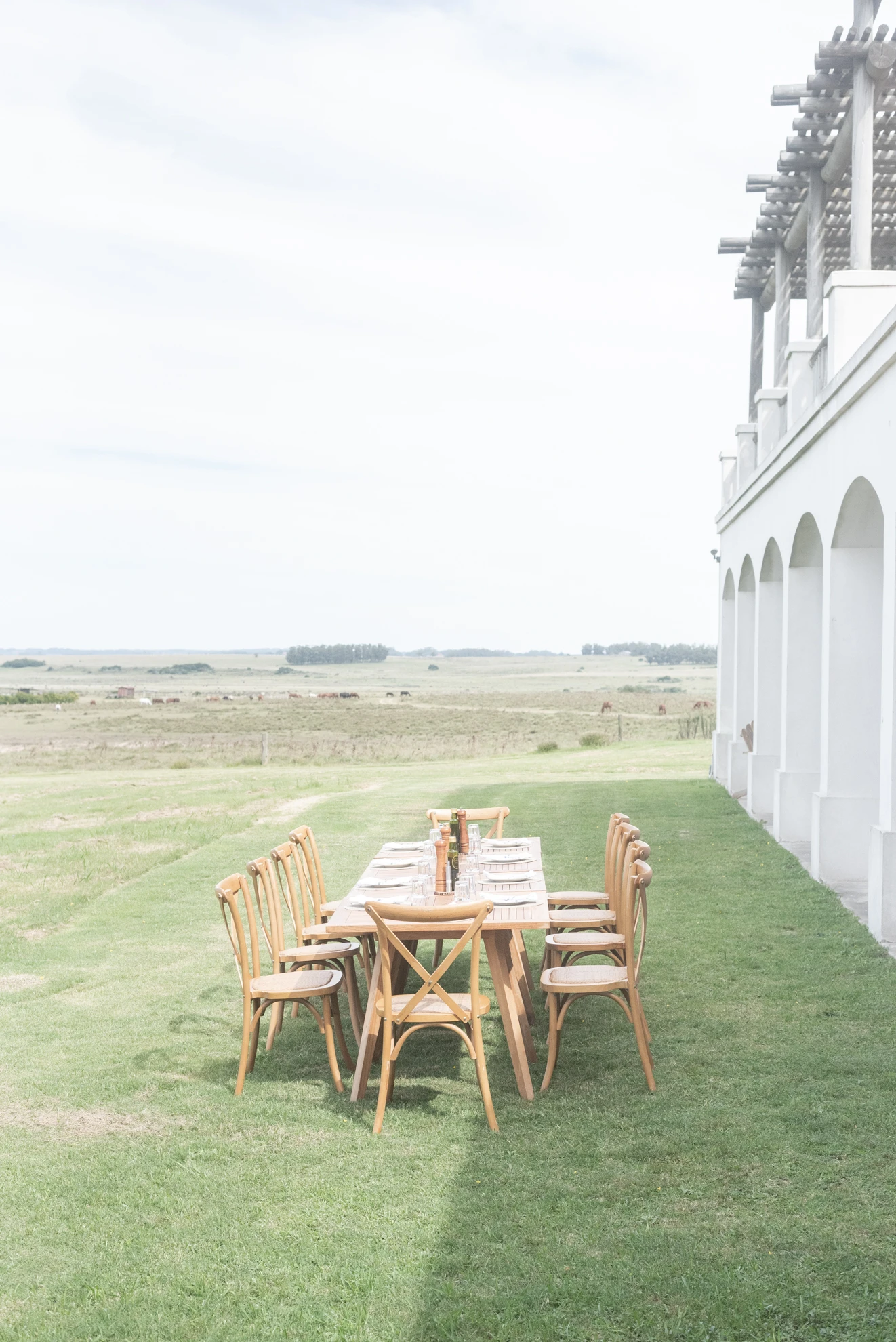 La médica que combina medicina y equinoterapia para lograr un envejecimiento más consciente: la mirada de Kathryn Dundas
