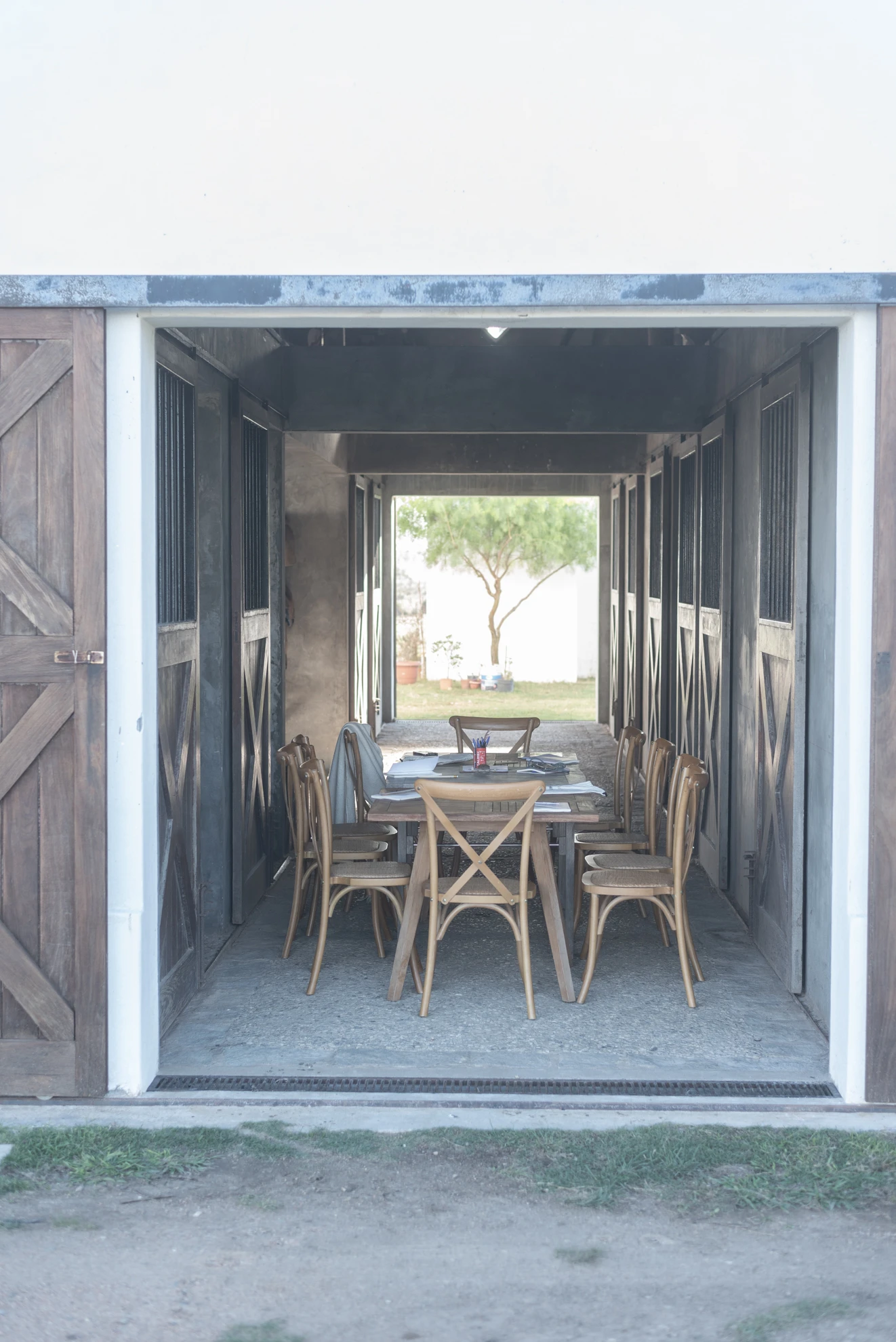 La médica que combina medicina y equinoterapia para lograr un envejecimiento más consciente: la mirada de Kathryn Dundas