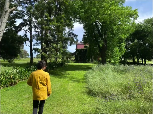 Así es la casa de campo de Robertito Funes Ugarte: un refugio pet-friendly diseñado para convivir con sus 10 perros rescatados