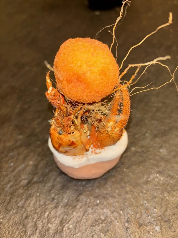 Descubrir Lima de la mano de una buena cocina.