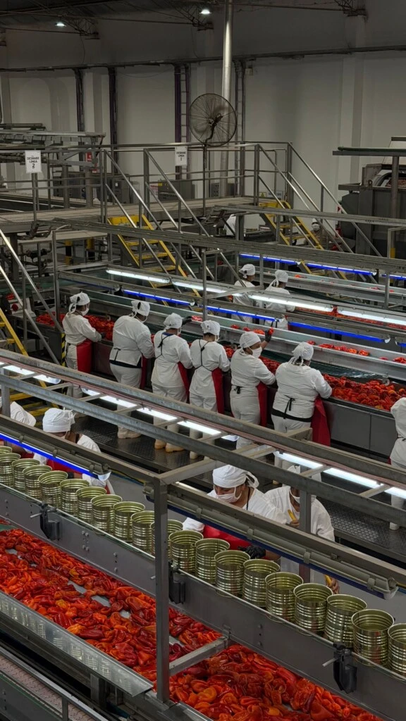 El tour y visita de la producción agrícola